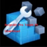 REGETID Pro Team FF