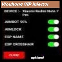 Woukong VIP injector