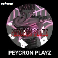 peycron Patcher